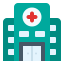 Healthcare Icon