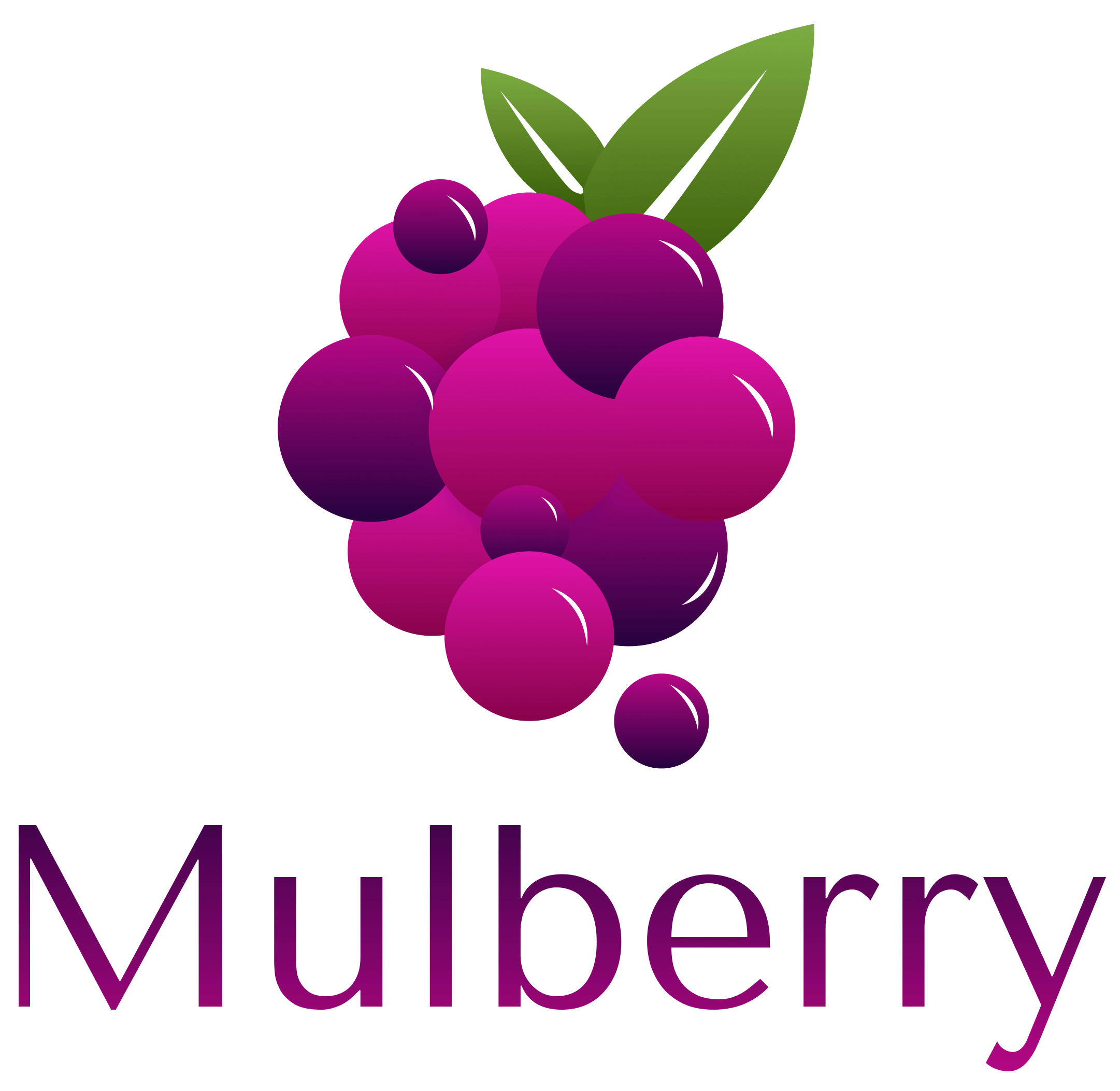 Mulberry